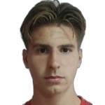N. Mujkic