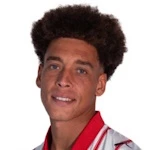 Axel Lambert Witsel
