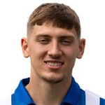 Joe Grey