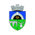 Anenii Noi W logo