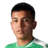 Marco Collao Ramos