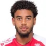 Willem Geubbels