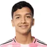 Tomas Aviles Mancilla