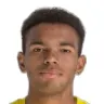 Samuel Obinaiia