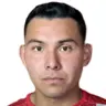 Luis Saldias Munos