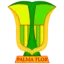 Atletico Palmaflor logo