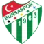 Bursaspor logo