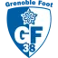 Grenoble logo