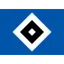 Hamburger SV U19 logo