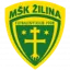 Zilina II logo