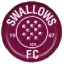 Moroka Swallows logo