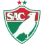 Salgueiro logo