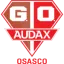 Gremio Osasco Audax logo
