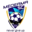 Medeama logo