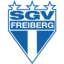 SGV Freiberg logo