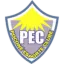 Pocone logo
