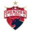 Shenzhen Ruby FC logo