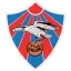 Valur W logo