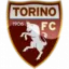 Torino U19 logo
