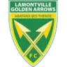 Golden Arrows U23 logo