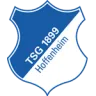 1899 Hoffenheim logo