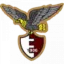 AJ Fano logo
