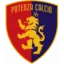 Potenza logo