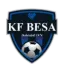 Besa Doberdoll logo