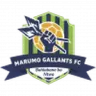 Marumo Gallants U23 logo