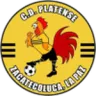 Platense logo