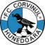 Corvinul Hunedoara logo