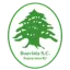 Boavista SC logo