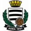Sora logo