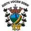 Vocem logo