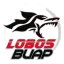Lobos Buap logo