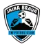 Tampico Madero logo
