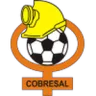 Cobresal logo