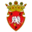 Penafiel logo