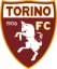 Torino U20 logo