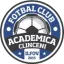 FC Clinceni logo