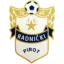 Radnicki Pirot logo