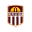 Carabobo FC logo