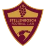 Stellenbosch W logo