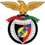Penya Encarnada logo