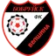 Belshina logo