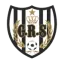 Riadi Salmi logo