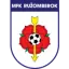 Ruzomberok logo