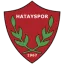 Hatayspor logo