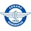 Ankara Demirspor logo