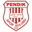 Pendikspor logo